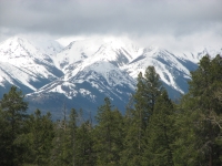 Snowy mountains near Cooke City